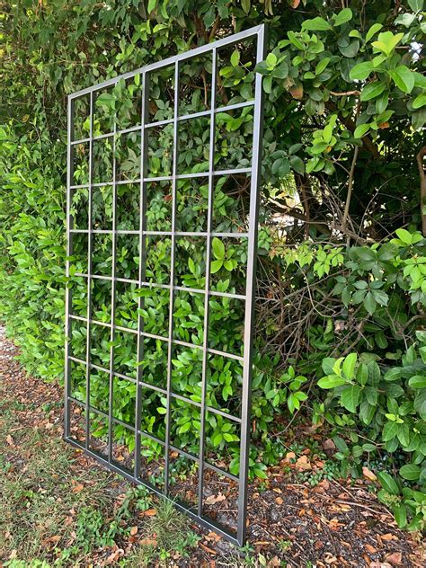 trellis netting for climbing plants|plant climbers on wall material.